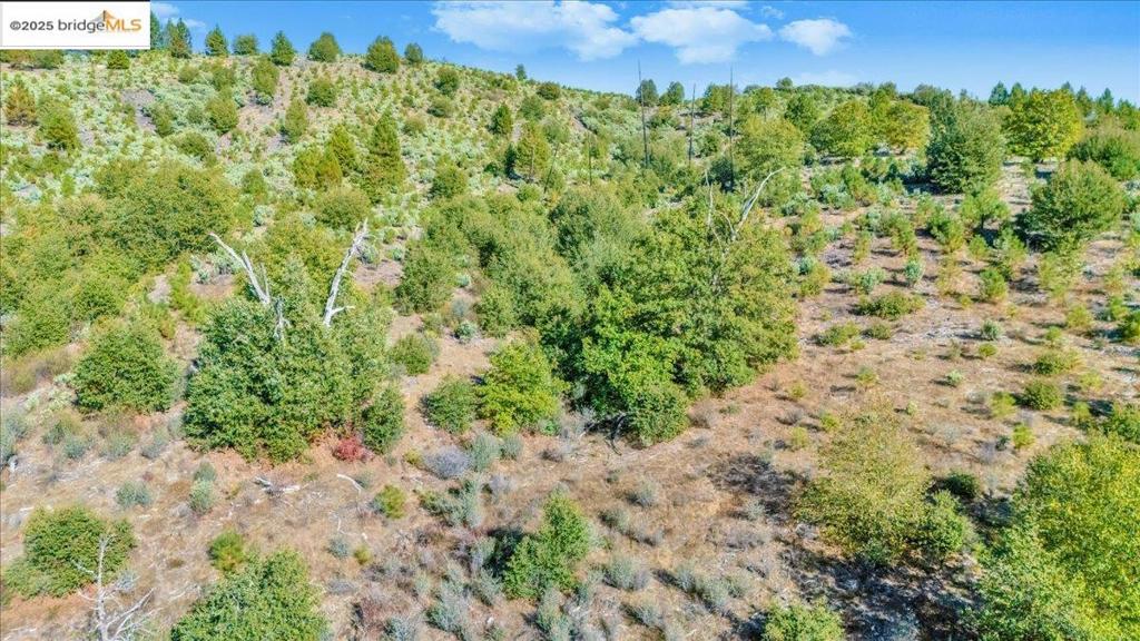 0 0000 Jackass Creek Rd, Groveland, CA 95321