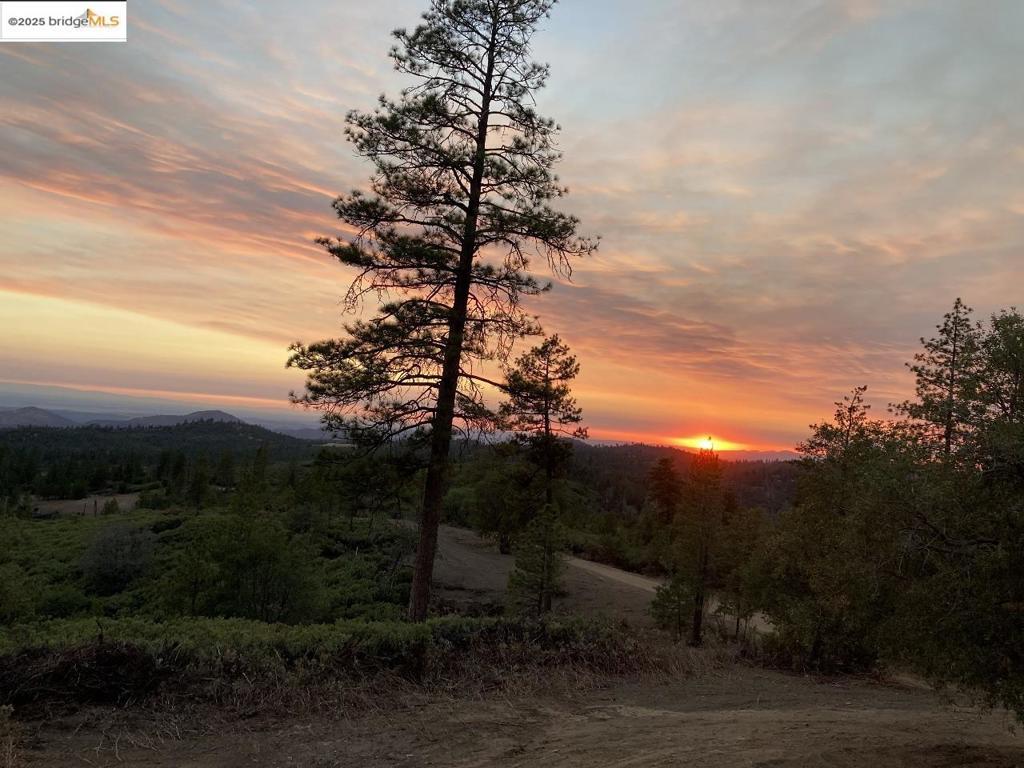 1000 2nd Garrote Ridge Road, Groveland, CA 95321