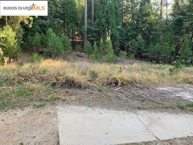 22975 Twain Harte Dr, Twain Harte, CA 95383