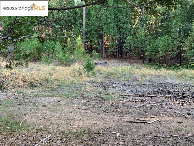22975 Twain Harte Dr, Twain Harte, CA 95383
