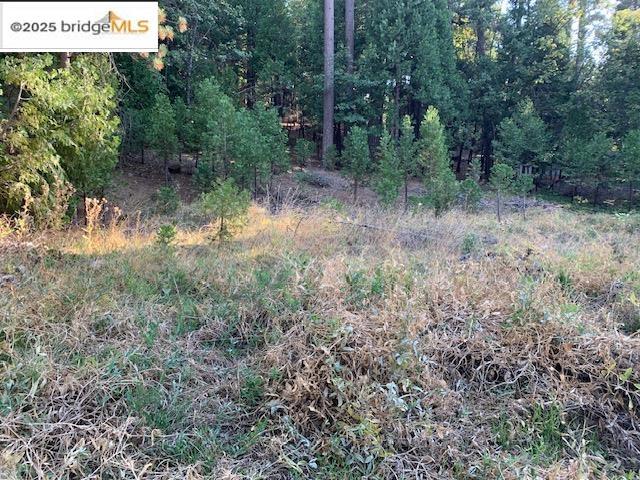 22975 Twain Harte Dr, Twain Harte, CA 95383