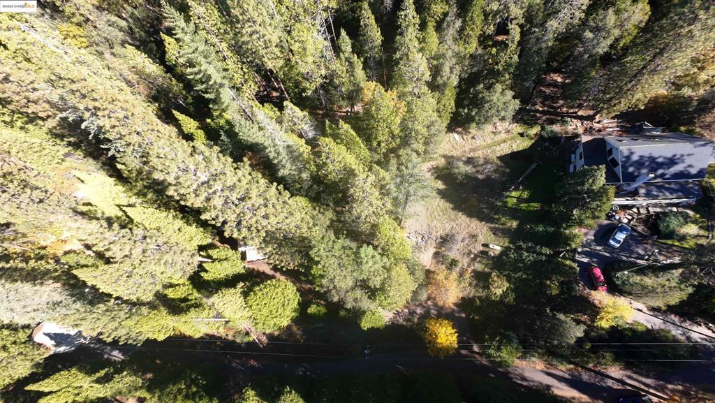 22443 Broken Bough Ln, Twain Harte, CA 95383