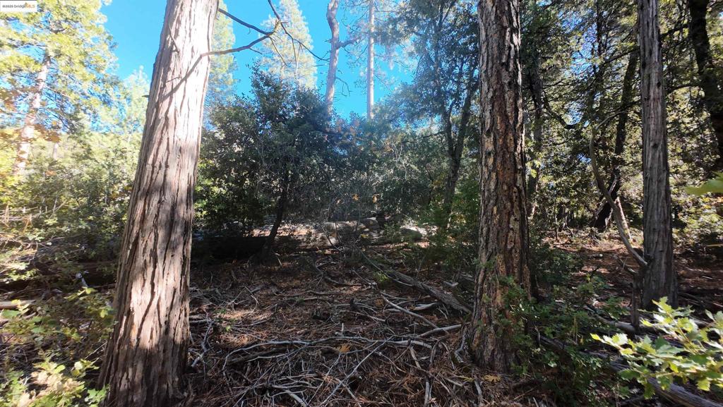 22443 Broken Bough Ln, Twain Harte, CA 95383