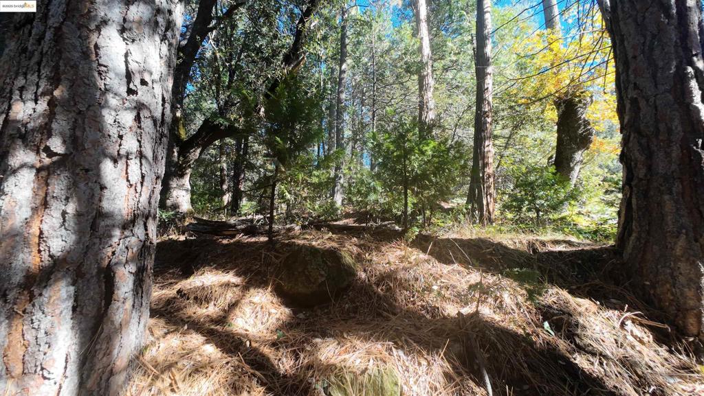 22443 Broken Bough Ln, Twain Harte, CA 95383