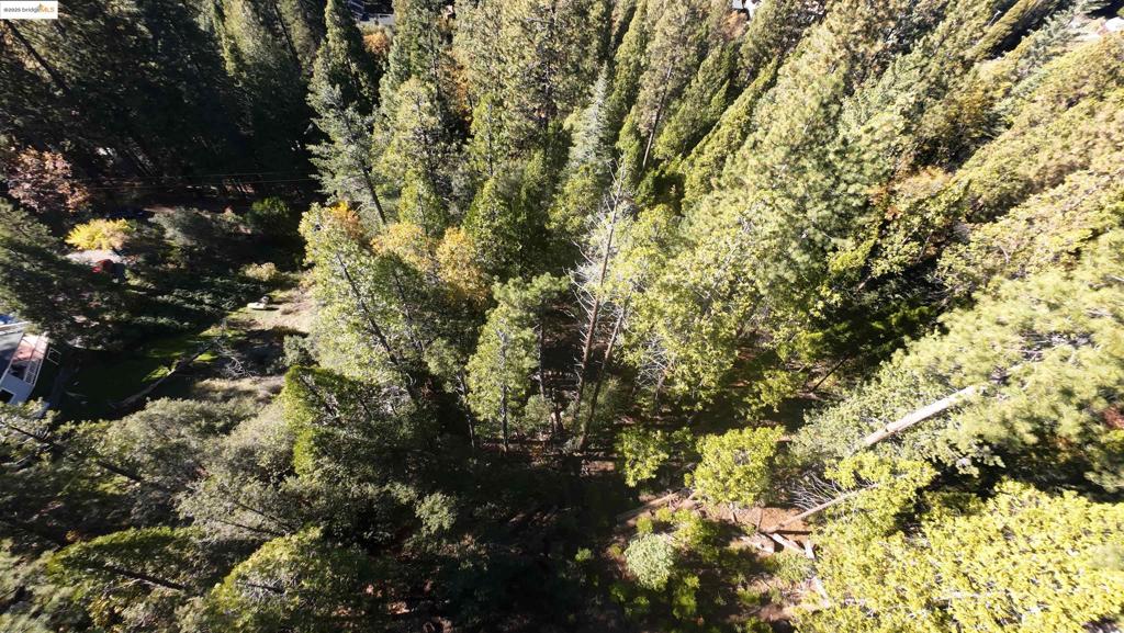 22443 Broken Bough Ln, Twain Harte, CA 95383