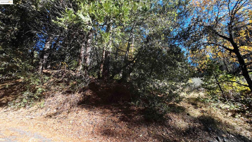 22443 Broken Bough Ln, Twain Harte, CA 95383