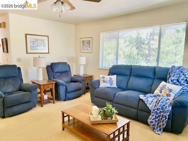 19621 Cottonwood St, Groveland, CA 95321-9372