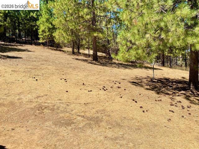 19621 Cottonwood St, Groveland, CA 95321-9372