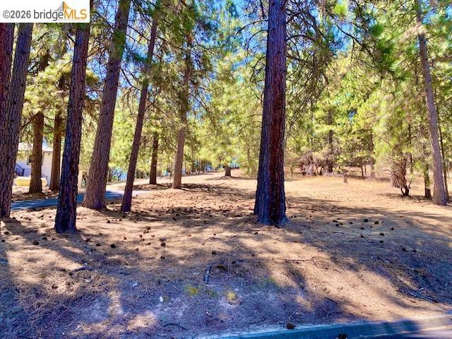 19621 Cottonwood St, Groveland, CA 95321-9372