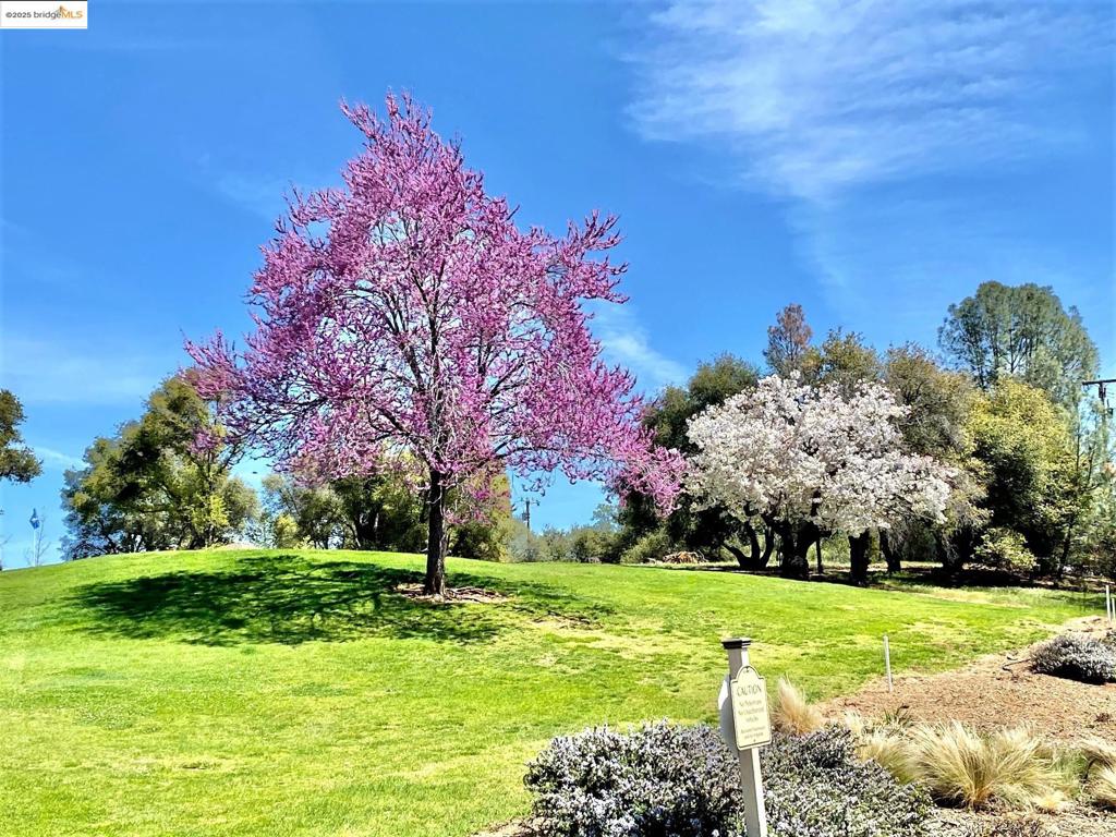 19621 Cottonwood St, Groveland, CA 95321-9372