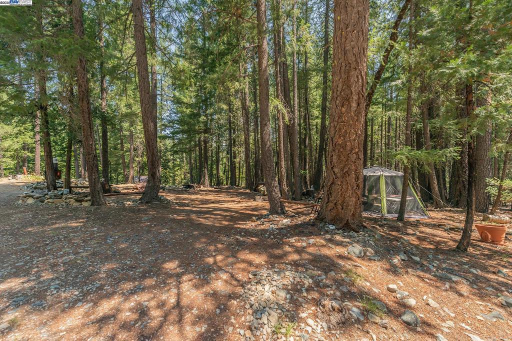 1371 Eagle Creek Loop Rd, Coffee, CA 96091