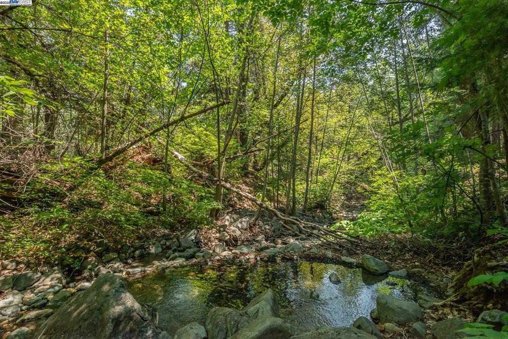 1371 Eagle Creek Loop Rd, Coffee, CA 96091