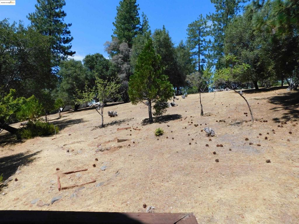 20704 Point View, Groveland, CA 95321-9588