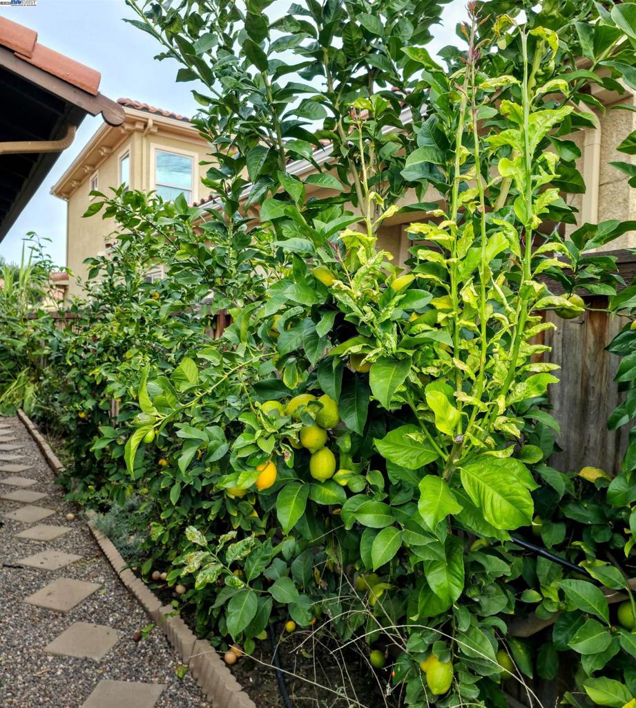 3548 Rapallo Way, Manteca, CA 95337