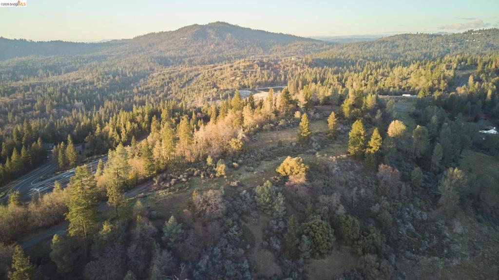 0 Freedom Way, Twain Harte, CA 95383