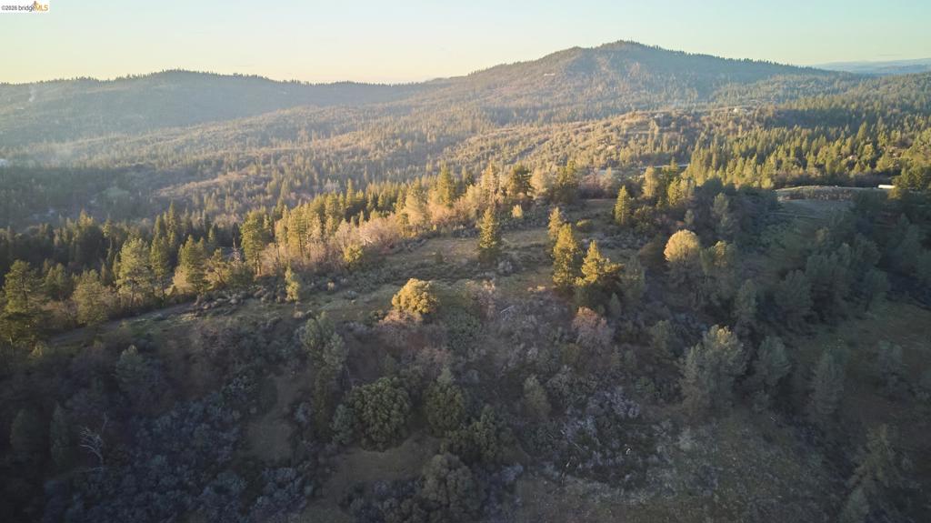 0 Freedom Way, Twain Harte, CA 95383