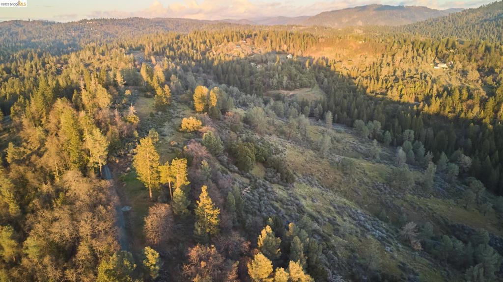 0 Freedom Way, Twain Harte, CA 95383