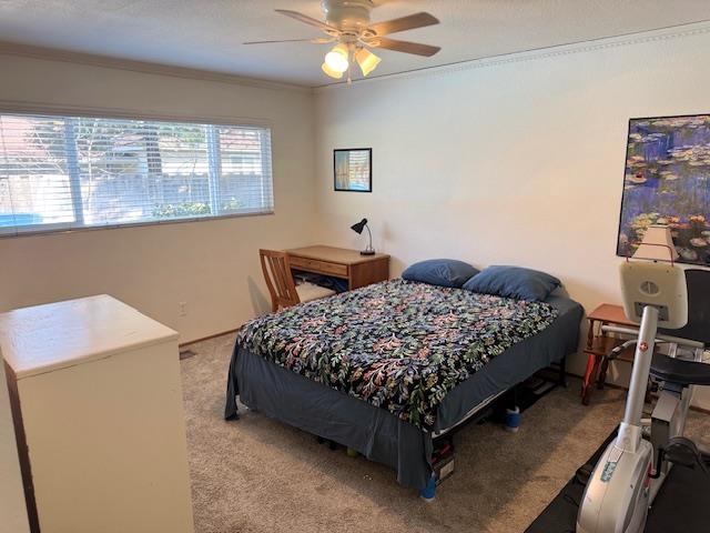 3800 Marigold Lane, Modesto, CA 95356