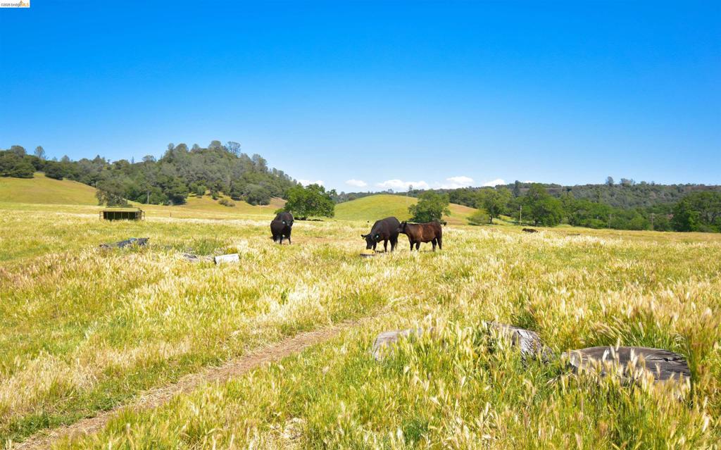 9436 Fraguero, Sonora, CA 95370