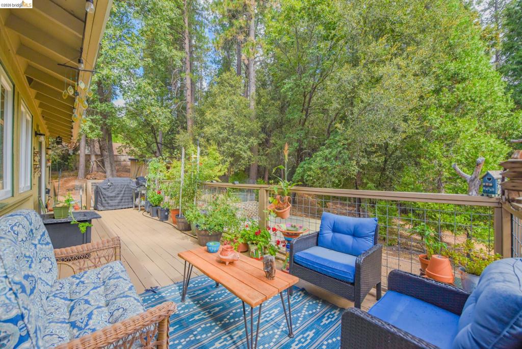 23615 Mount Elizabeth Rd, Twain Harte, CA 95383