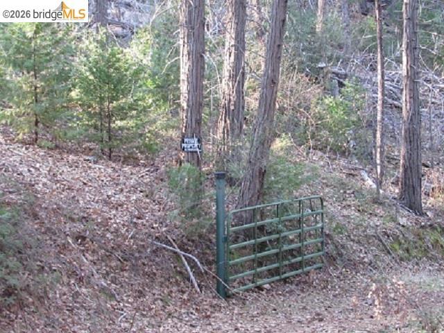 0 0000 Star Ridge Rd., Twain Harte, CA 95383-9538