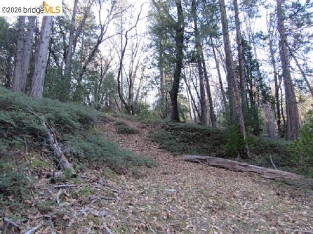 0 0000 Star Ridge Rd., Twain Harte, CA 95383-9538