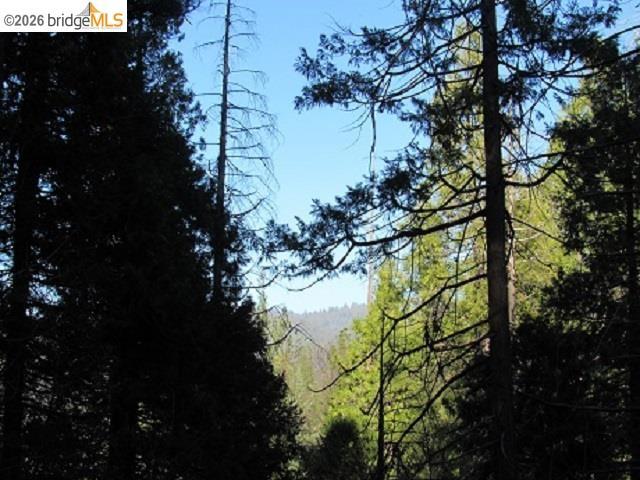 0 0000 Star Ridge Rd., Twain Harte, CA 95383-9538