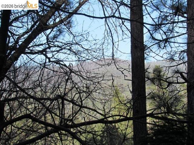 0 0000 Star Ridge Rd., Twain Harte, CA 95383-9538
