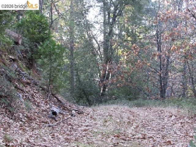 0 0000 Star Ridge Rd., Twain Harte, CA 95383-9538