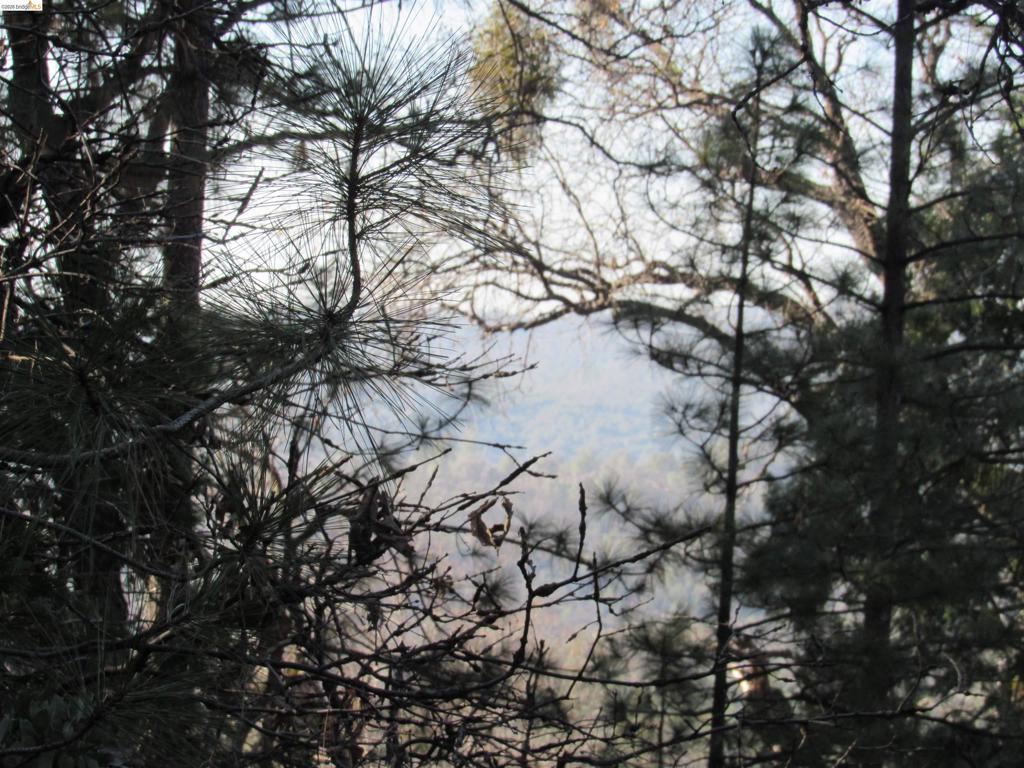 0 0000 Star Ridge Rd., Twain Harte, CA 95383-9538