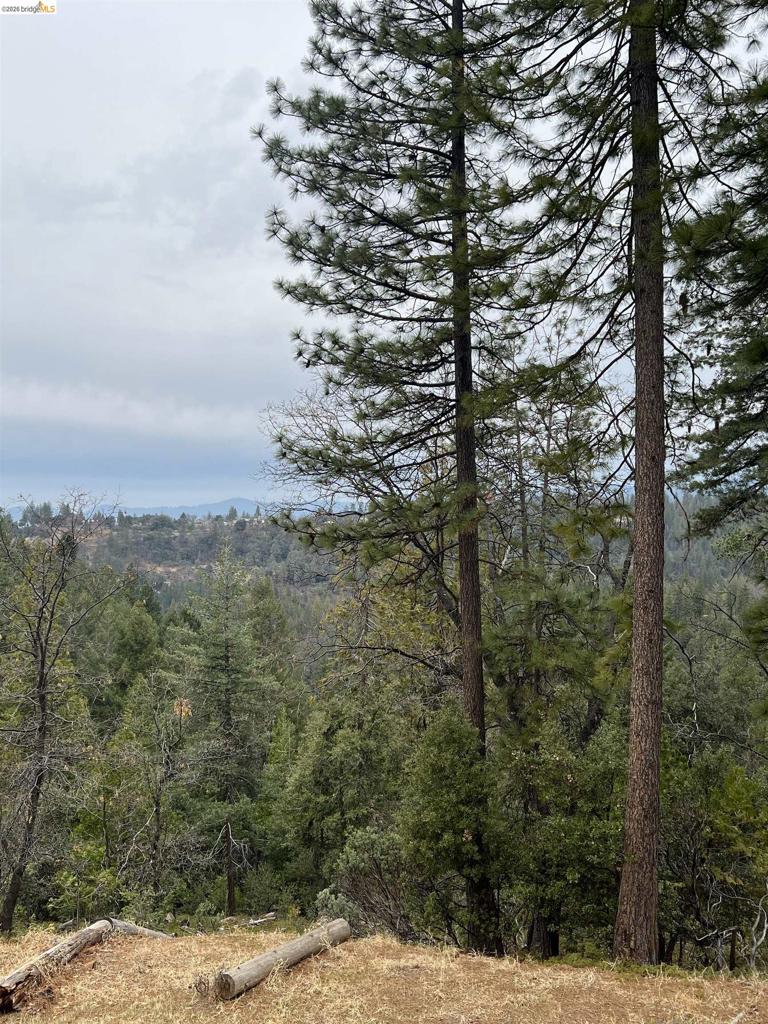 19262 Tanglewood Trl., Twain Harte, CA 95383