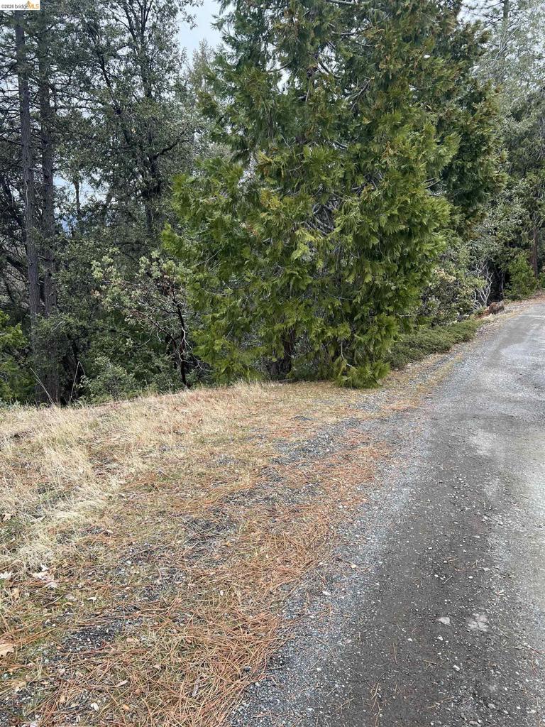 19262 Tanglewood Trl., Twain Harte, CA 95383