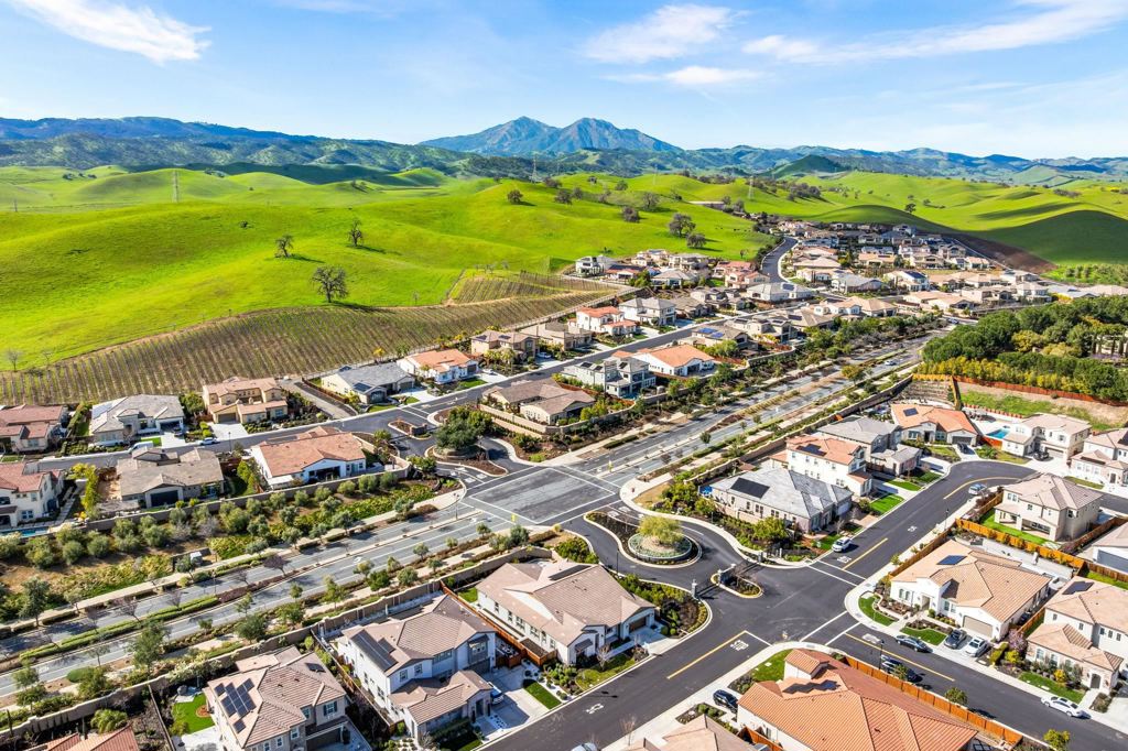 1989 1989 Old Vine Pl, Brentwood (CC), CA 94513