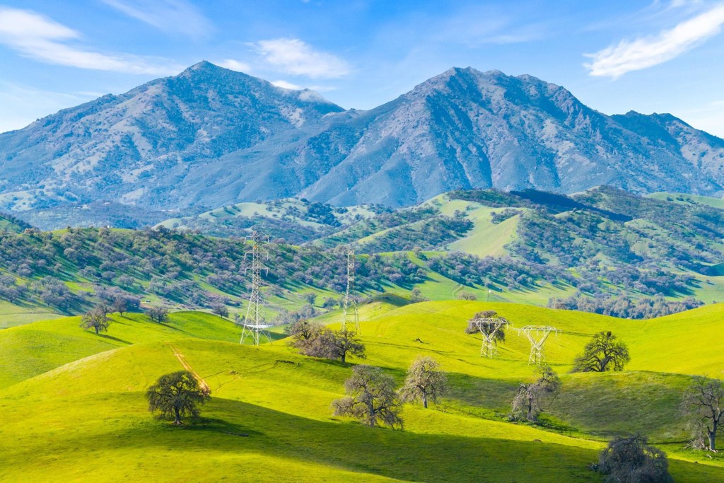 1989 1989 Old Vine Pl, Brentwood (CC), CA 94513