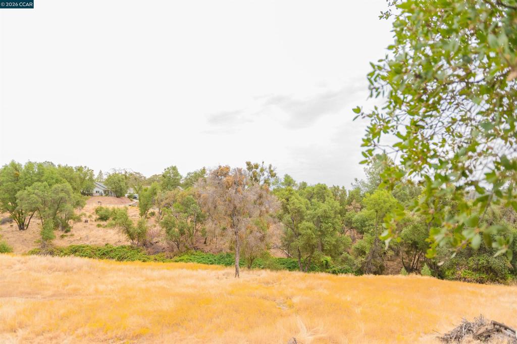 5138 5138 Terrace View Ln, Mariposa, CA 95338