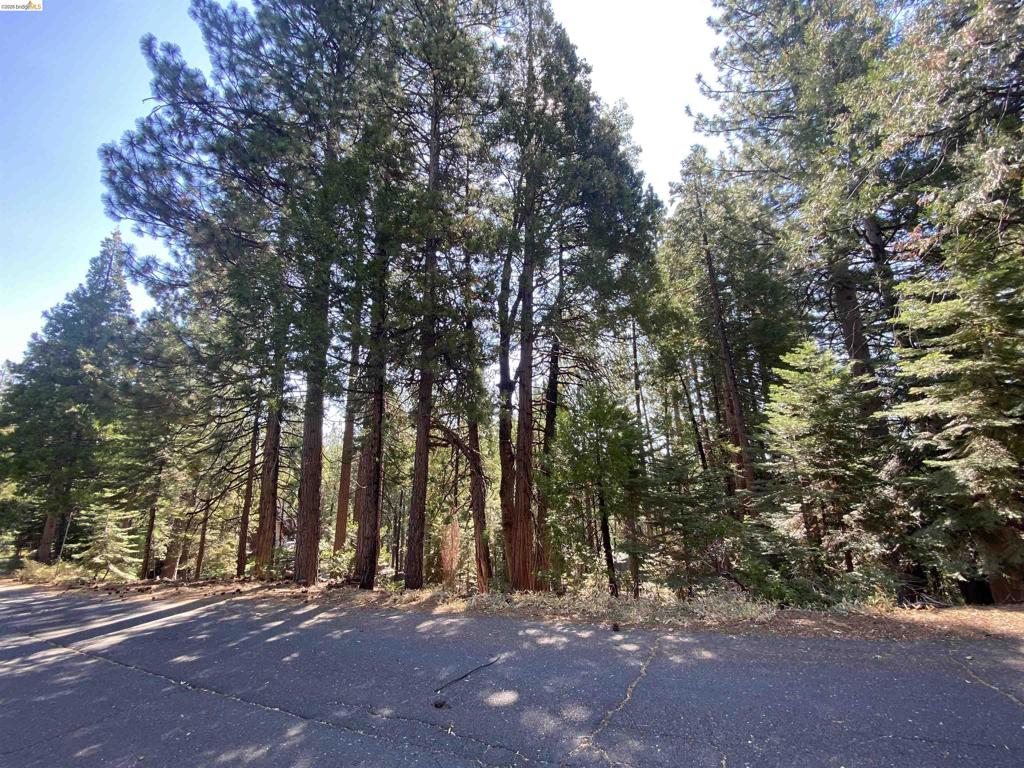 155 Alpine, Cold Springs, CA 95335