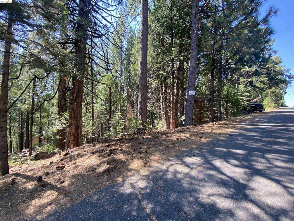 155 Alpine, Cold Springs, CA 95335