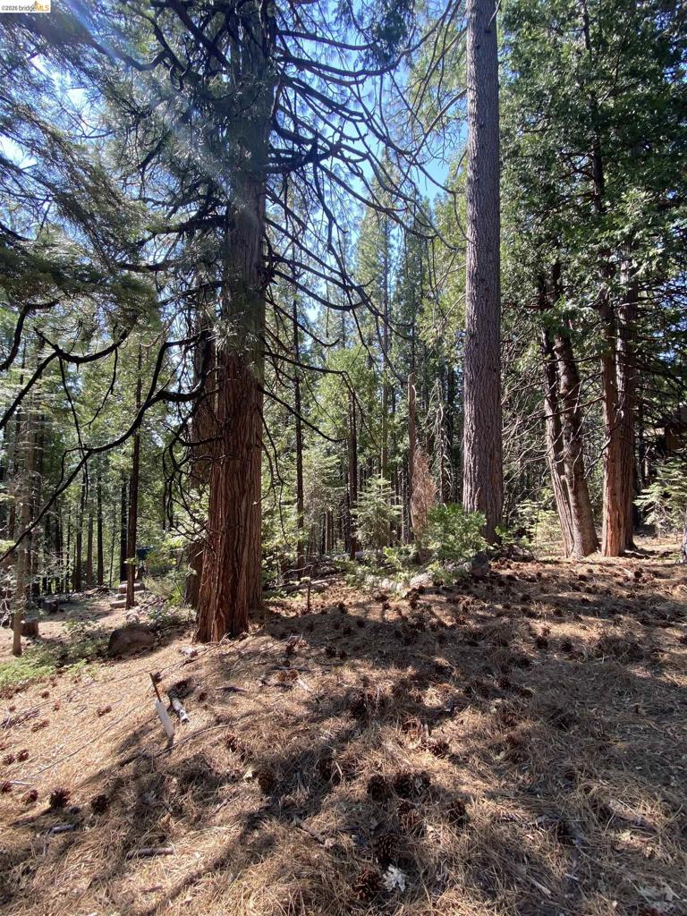 155 Alpine, Cold Springs, CA 95335
