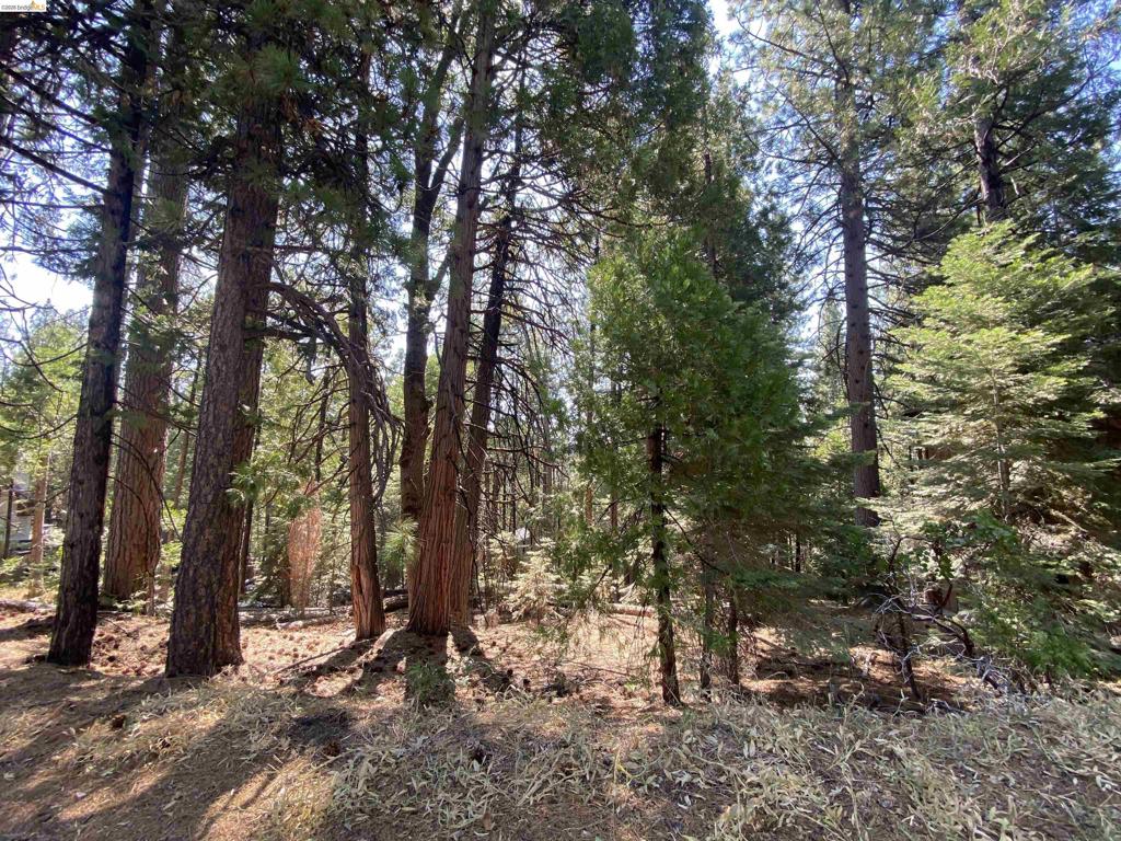 155 Alpine, Cold Springs, CA 95335