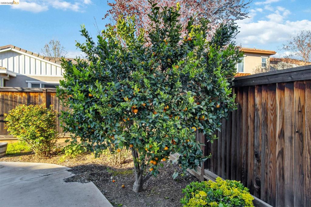 607 607 Bristol Ct, Brentwood (CC), CA 94513