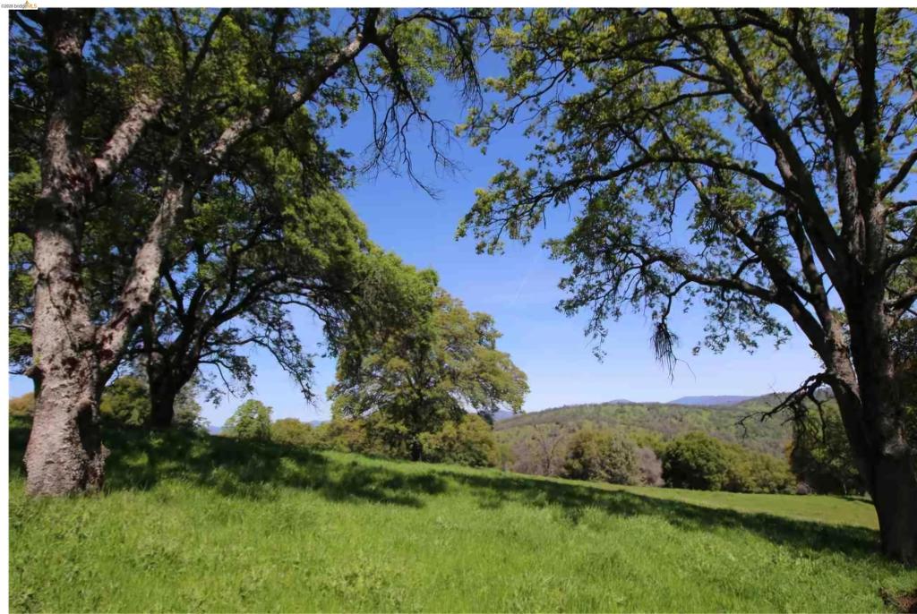 16551 16551 Wards Ferry Rd, Groveland, CA 95370