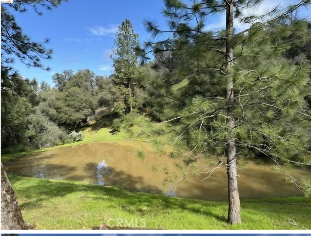 16551 16551 Wards Ferry Rd, Groveland, CA 95370