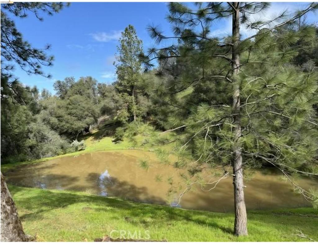 16551 16551 Wards Ferry Rd, Groveland, CA 95370