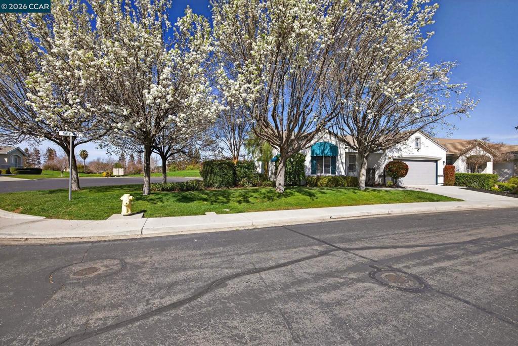 1528 1528 Katy Way, Brentwood (CC), CA 94513