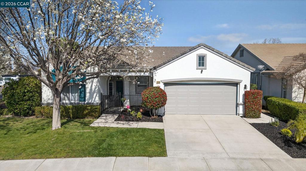 1528 1528 Katy Way, Brentwood (CC), CA 94513