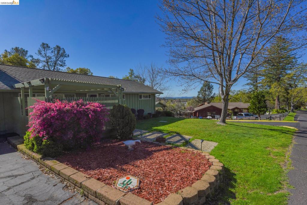 Open Photo