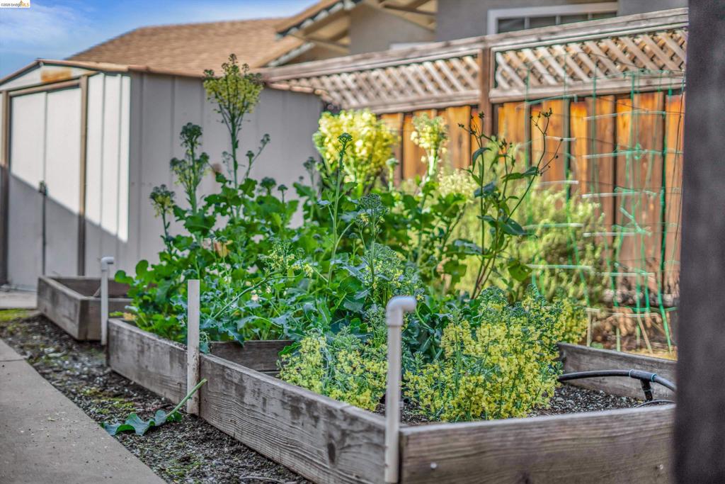 17 Kensington Ct, Brentwood (CC), CA 94513