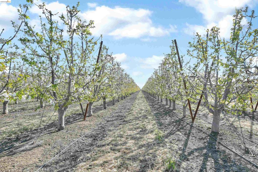 2650 Sellers Ave, Brentwood (CC), CA 94513