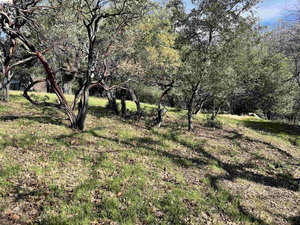 16505 S Creekside Dr, Sonora, CA 95370