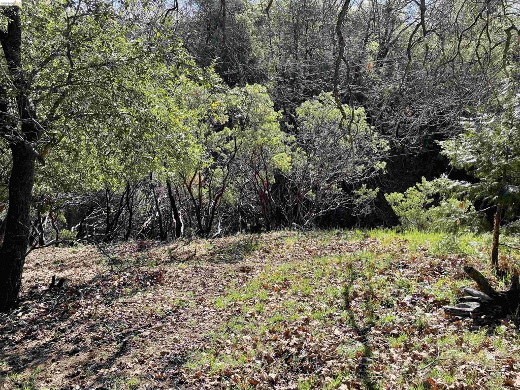 16505 S Creekside Dr, Sonora, CA 95370